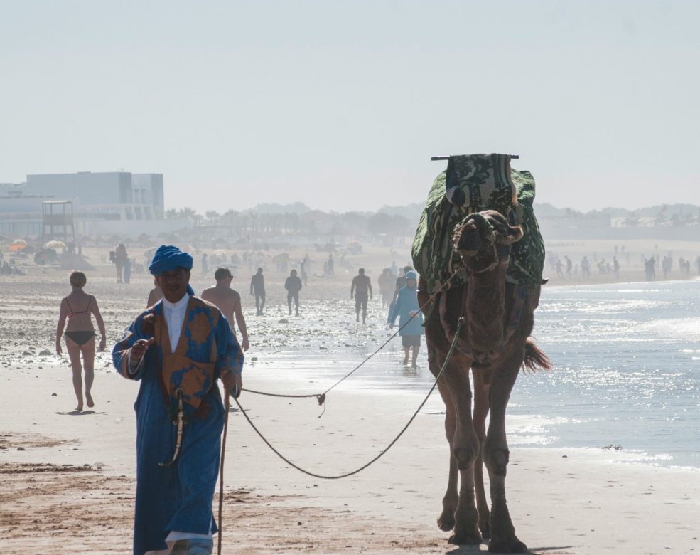 agadir beach camel